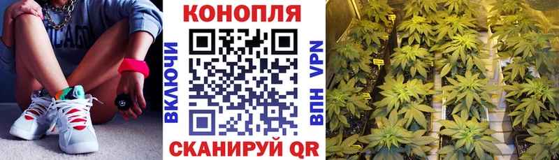 Как найти наркотики Туапсе СК ГАШ Галлюциногенные грибы Cocaine