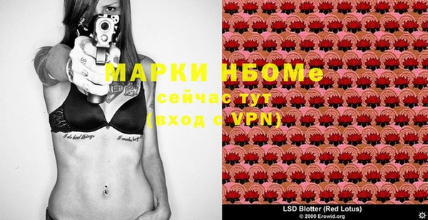 ГАЛЛЮЦИНОГЕННЫЕ ГРИБЫ Балахна