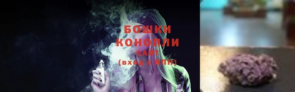 ГАЛЛЮЦИНОГЕННЫЕ ГРИБЫ Балахна