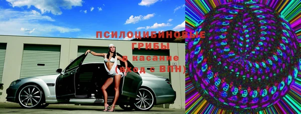 ГАЛЛЮЦИНОГЕННЫЕ ГРИБЫ Балахна