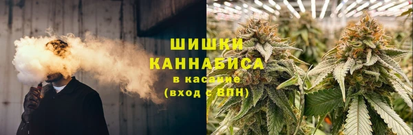 ГАЛЛЮЦИНОГЕННЫЕ ГРИБЫ Балахна