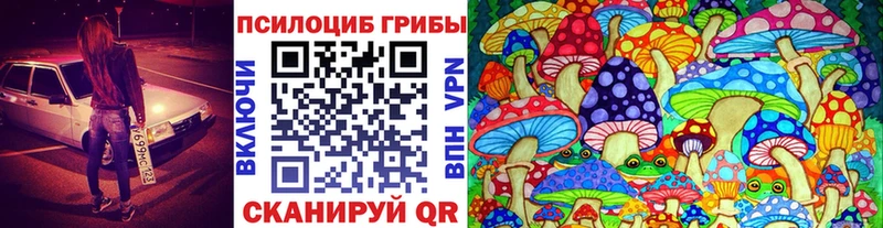 мориарти официальный сайт  Туапсе  Галлюциногенные грибы мицелий 